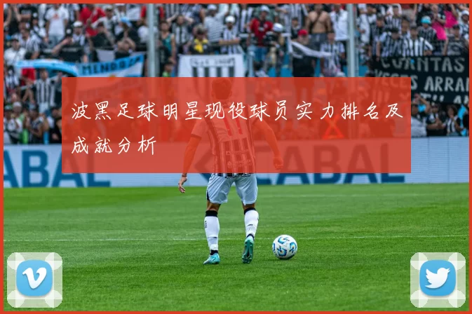 波黑足球明星现役球员实力排名及成就分析