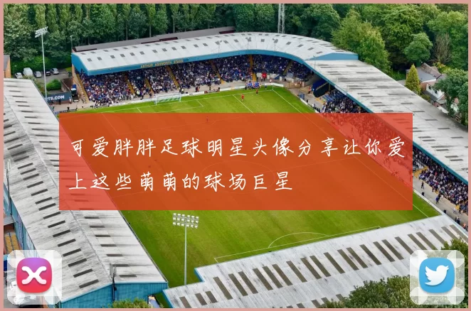可爱胖胖足球明星头像分享让你爱上这些萌萌的球场巨星