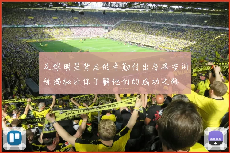 足球明星背后的辛勤付出与艰苦训练揭秘让你了解他们的成功之路
