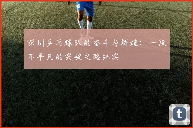 深圳乒乓球队的奋斗与辉煌：一段不平凡的突破之路纪实