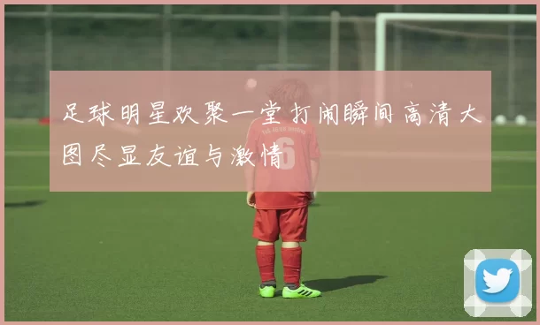 足球明星欢聚一堂打闹瞬间高清大图尽显友谊与激情