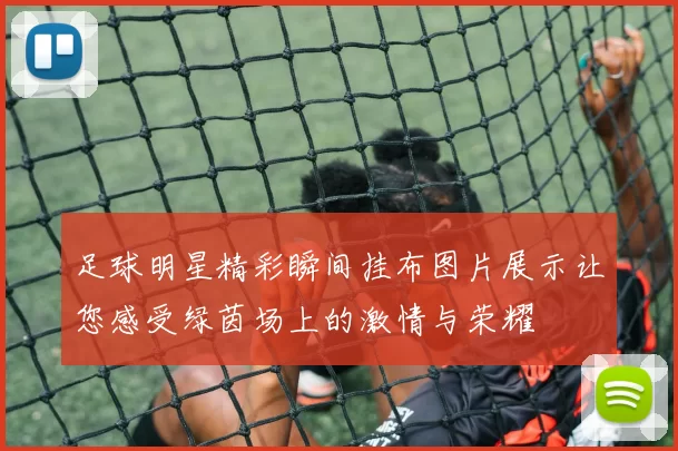 足球明星精彩瞬间挂布图片展示让您感受绿茵场上的激情与荣耀