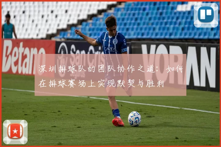 深圳排球队的团队协作之道：如何在排球赛场上实现默契与胜利