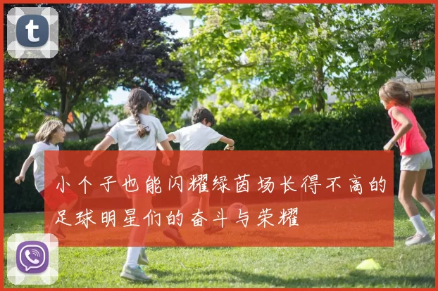 小个子也能闪耀绿茵场长得不高的足球明星们的奋斗与荣耀