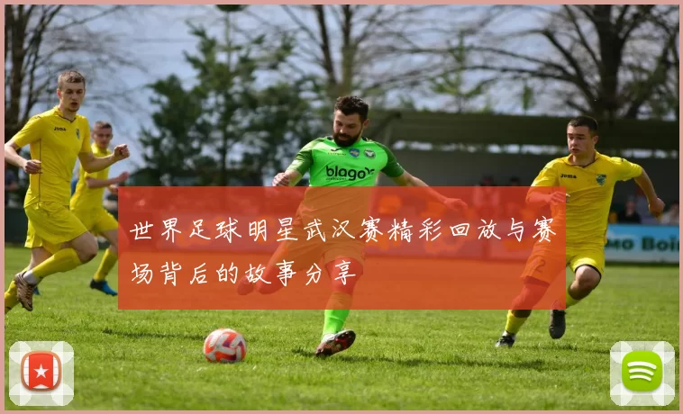 世界足球明星武汉赛精彩回放与赛场背后的故事分享