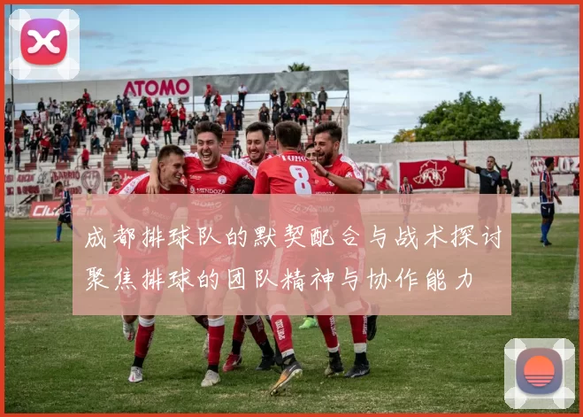 成都排球队的默契配合与战术探讨聚焦排球的团队精神与协作能力