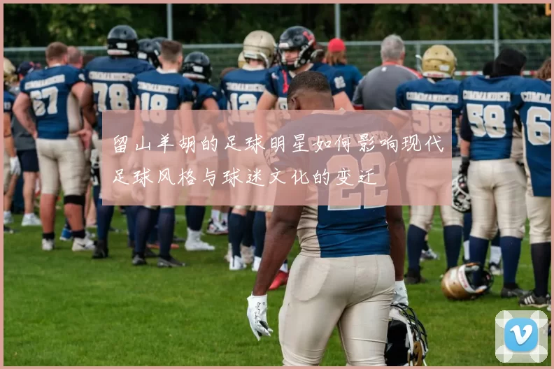 留山羊胡的足球明星如何影响现代足球风格与球迷文化的变迁