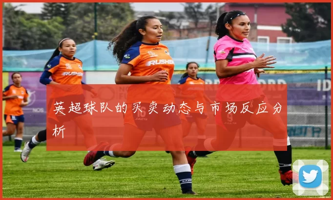 英超球队的买卖动态与市场反应分析