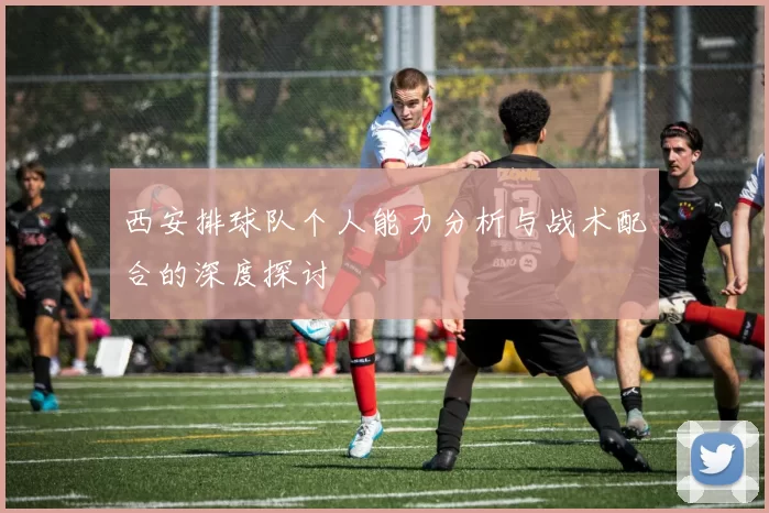 西安排球队个人能力分析与战术配合的深度探讨