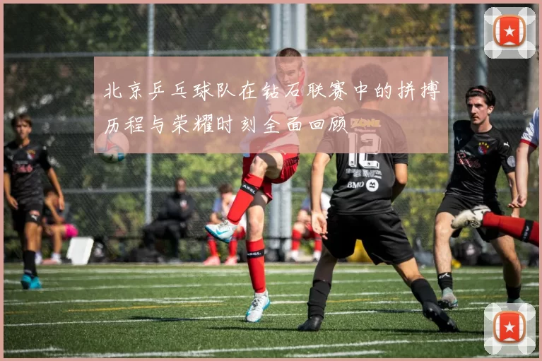 北京乒乓球队在钻石联赛中的拼搏历程与荣耀时刻全面回顾