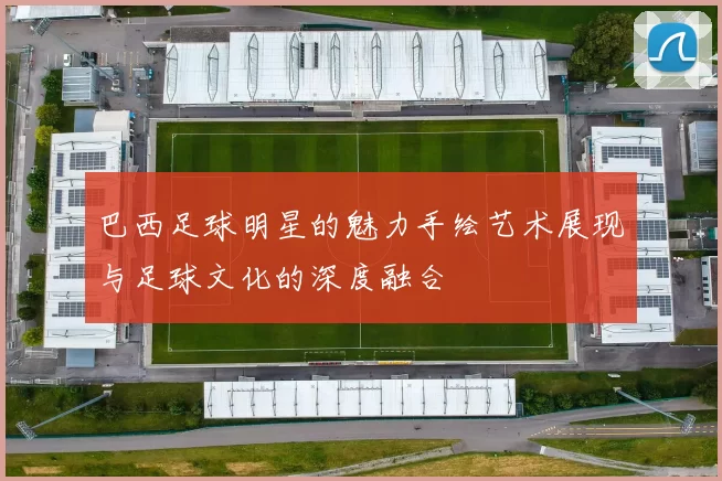 巴西足球明星的魅力手绘艺术展现与足球文化的深度融合