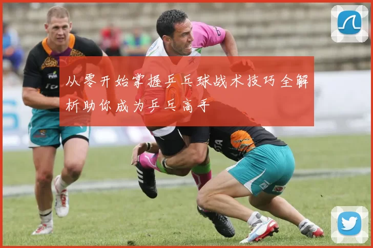 从零开始掌握乒乓球战术技巧全解析助你成为乒乓高手