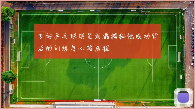 专访乒乓球明星刘磊揭秘他成功背后的训练与心路历程