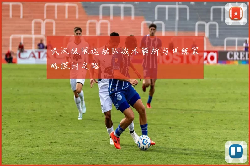 武汉极限运动队战术解析与训练策略探讨之路
