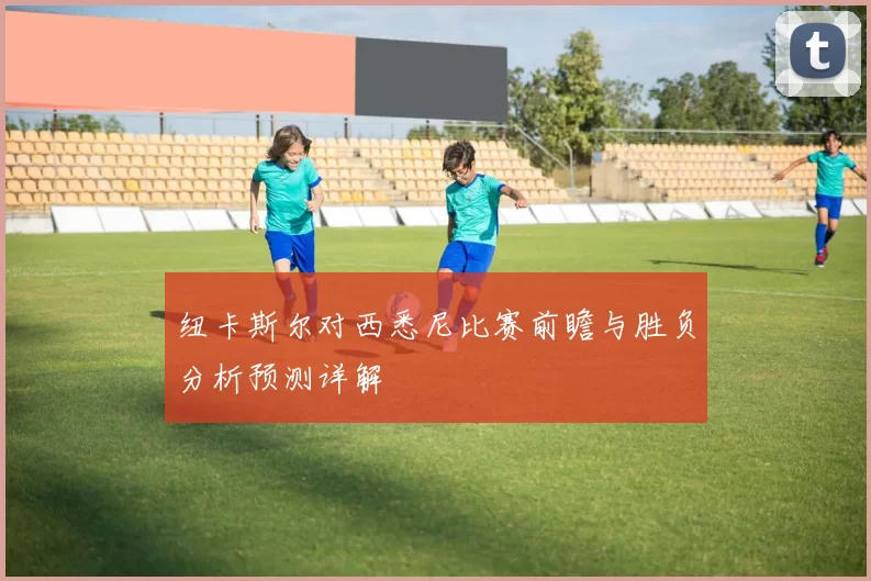纽卡斯尔对西悉尼比赛前瞻与胜负分析预测详解