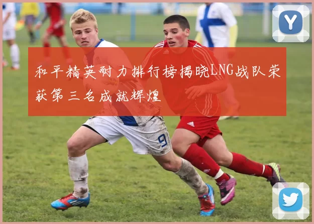 和平精英耐力排行榜揭晓LNG战队荣获第三名成就辉煌