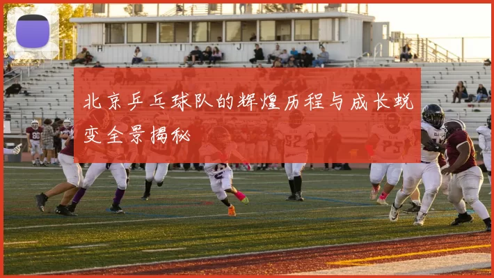 北京乒乓球队的辉煌历程与成长蜕变全景揭秘