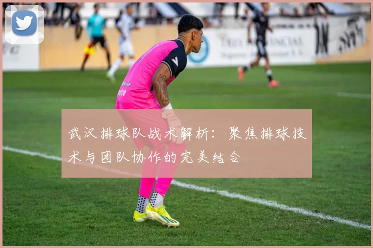 武汉排球队战术解析：聚焦排球技术与团队协作的完美结合