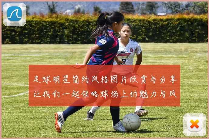 足球明星简约风格图片欣赏与分享让我们一起领略球场上的魅力与风采