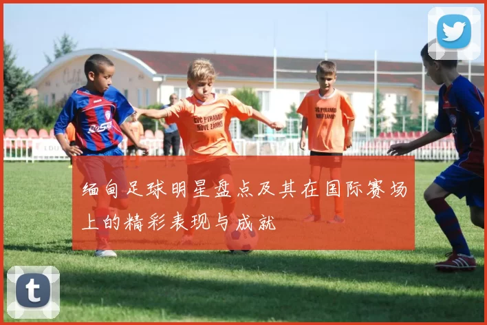 缅甸足球明星盘点及其在国际赛场上的精彩表现与成就