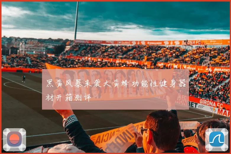 黑黄风暴来袭大黄蜂功能性健身器材开箱测评