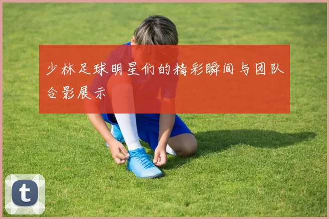 少林足球明星们的精彩瞬间与团队合影展示